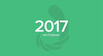 Retrospectiva campanhas no Catarse 2017